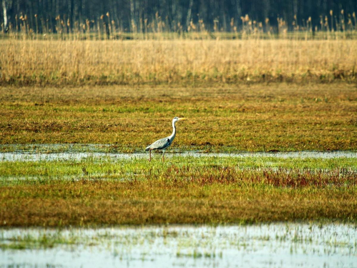 Biebrza24 - Agroturystyka Штабін Екстер'єр фото